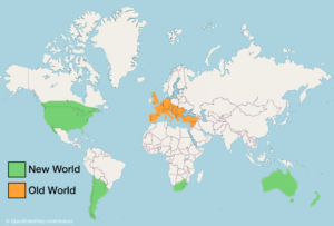 Old World VS New World Map